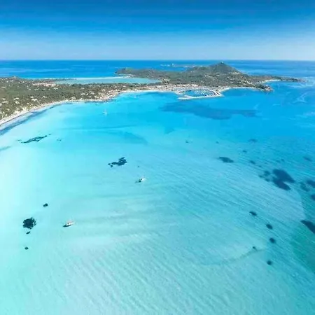 度假居 100mt From Campulongu With Sea View *