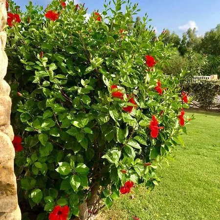 100mt From Campulongu With Sea View 度假居